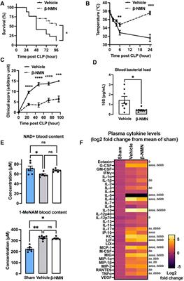 Nicotinamide Mononucleotide Administration Triggers Macrophages Reprogramming and Alleviates Inflammation During Sepsis Induced by Experimental Peritonitis